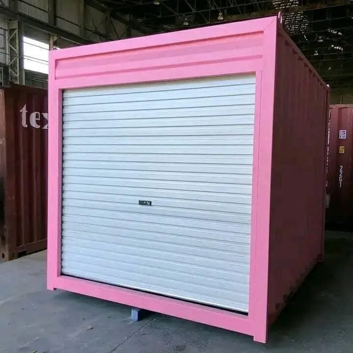 10ft Pink Shipping Storage Container with Roll-Up Door